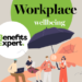 Benefits Expert Guide to Workplace Wellbeing January 2025 cover