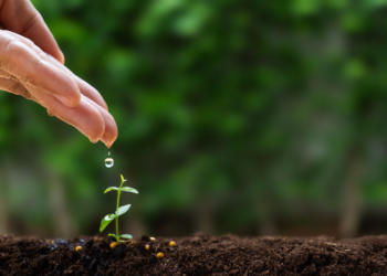 Saving for the future, pensions, undersaving, workplace, employees, retirement