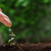 Saving for the future, pensions, undersaving, workplace, employees, retirement