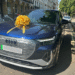 EV, golden ticket, prize, Tusker, Reed, electric vehicle, ESG sustainability