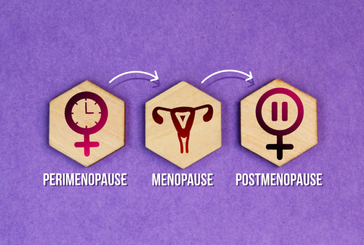 Menopause, legislation, employment rights bill, women, diversity, wellbeing, health, perimenopause
